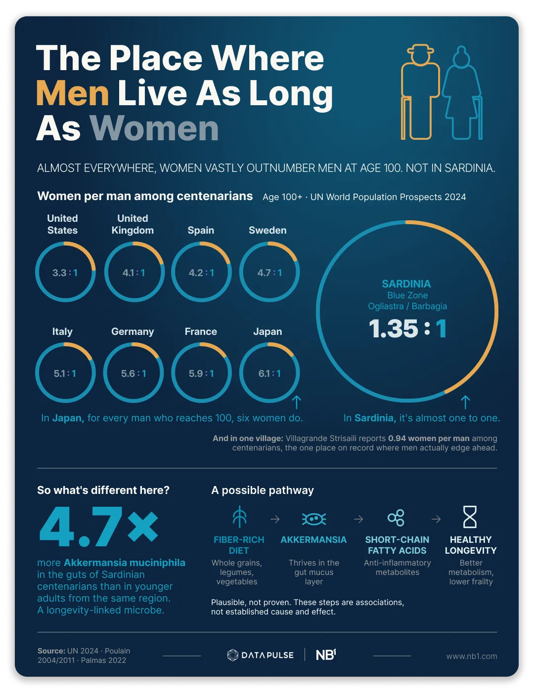 Infographic: The place where men live as long as women. At age 100, women usually outnumber men 4 to 6 to 1 across developed countries, but in Sardinia's Blue Zone the ratio is just 1.35 to 1, and in the village of Villagrande Strisaili men actually edge ahead. Sardinian centenarians carry 4.7 times more Akkermansia muciniphila, a longevity-linked gut microbe, than younger adults from the same region.