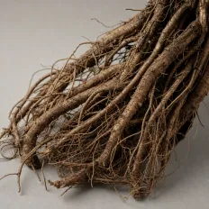Valerian root