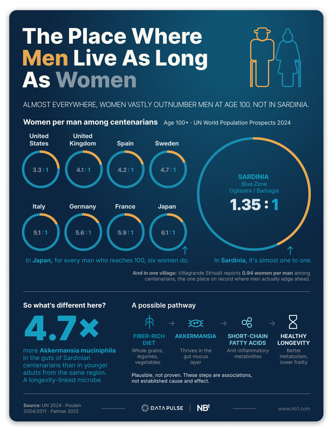 Infographic: at age 100 women usually outnumber men 4 to 6 to 1 across developed countries, but in Sardinia's Blue Zone the ratio is just 1.35 to 1, and Sardinian centenarians carry 4.7 times more Akkermansia muciniphila.